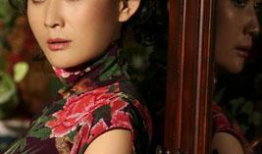 陈瑾主演的电视剧,倾情演绎时代女性的坚韧与成长